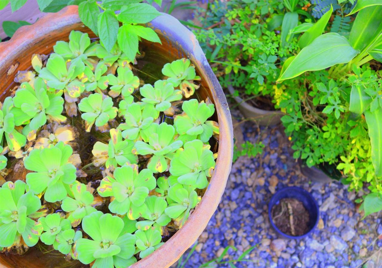 Second Home Chiang Mai Zewnętrze zdjęcie